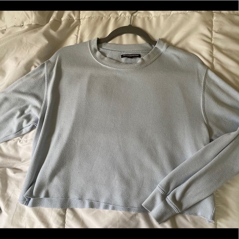 Brandy Melville Crop Top